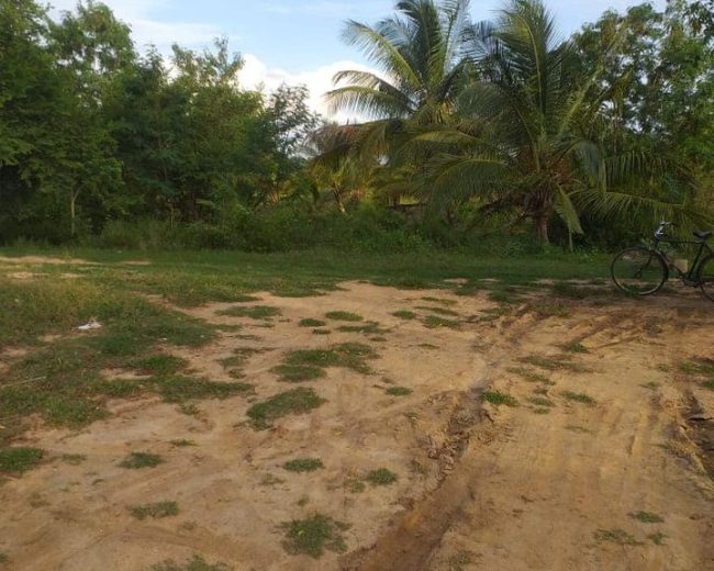 Land for Sale in Anuradapura