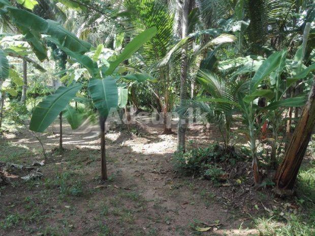 Land For Sale in Kiribathgoda with house