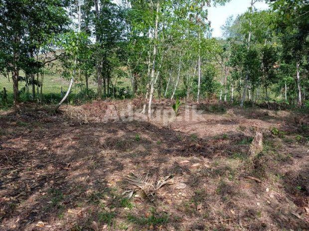 Land for Sale in Welikanna