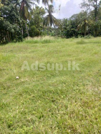 Land for Sale Seeduwa Liyanagamulla