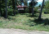 Land for sale in Kurunegala