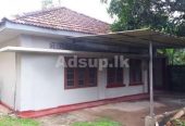 House for Rent in Dematagoda