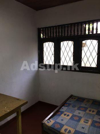 Room For Rent Gampaha