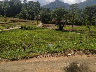 Land for sale in Aranayaka