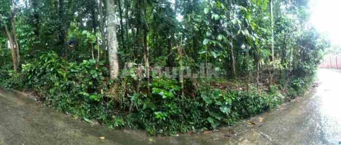 Kandy kumdasale central province Land for sale nea