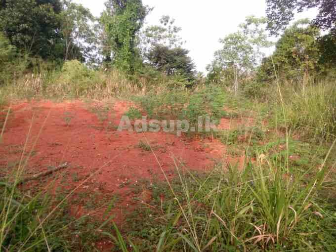 70 Perch Land for Sale in kurunegala