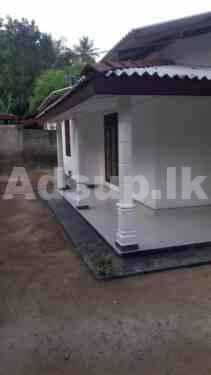 New House For Sale Gampha Udugampola Vidiyawathe