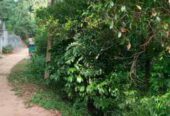 Land For Sale In Dodamwala Kandy