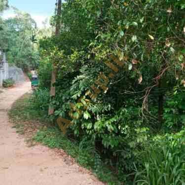 Land For Sale In Dodamwala Kandy
