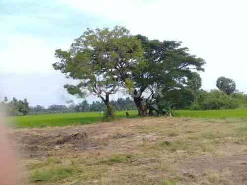 Land for Sale in Tissamaharama