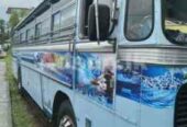 Ashok Leyland Viking Hino Bus for Sale