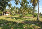 Land For sale in Melsiripura