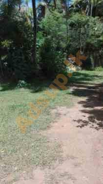 Land for sale Mount placent watta in Galle