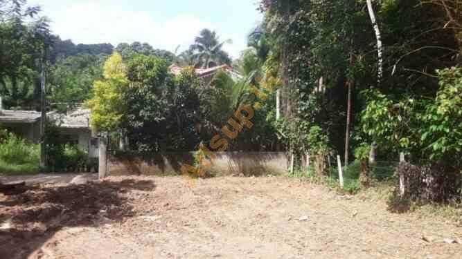 Land for Sale Digana