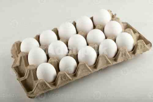 raw-chicken-eggs-in-an-egg-box-on-a-white-background-photo