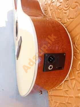 High Quality Semi Acoustic Guitar (Tayste TS320-D)