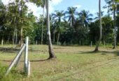 Land for sale in Piduruwella Kurunegala