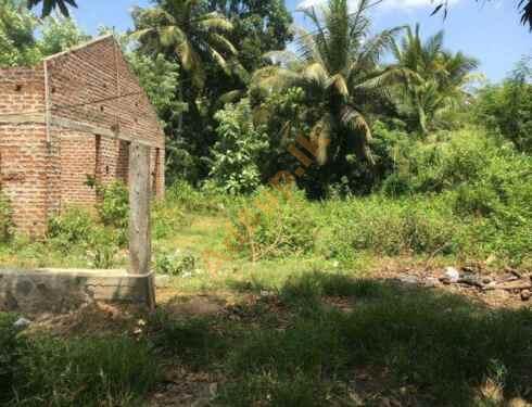 Land for Sale Kurunegala Gettuwana