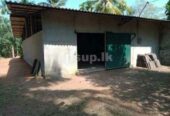 Building for Rent in Piliyandala