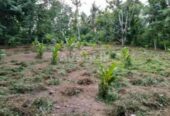 Land For Sale In Kirindiwela