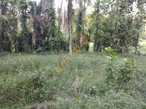 Land for Sale in Mawanella 3Km Kandy Road