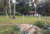 Land for Sale in Kurunegala Irabadagama
