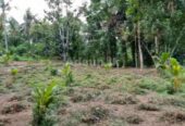 Land For Sale In Kirindiwela