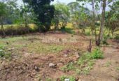 Land for sale Godagama