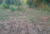 land for sale in polpithigama