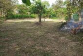 land for sale in polpithigama