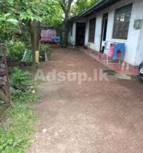 Land For Sale With small House Katuwawala