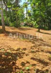 Land For Sale In Kamburupitiya
