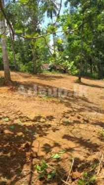 Land For Sale In Kamburupitiya
