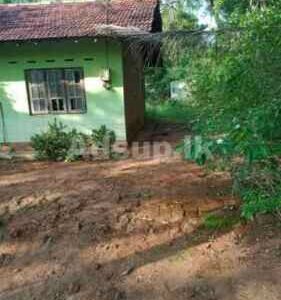 Land with House for Sale Nochchiyagama