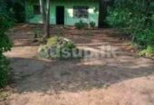 Land with House for Sale Nochchiyagama