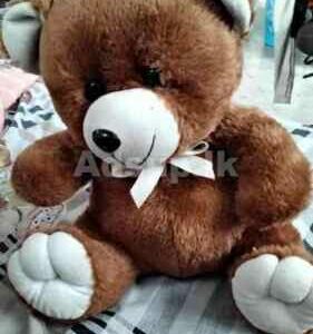 Teddy bear for Sale