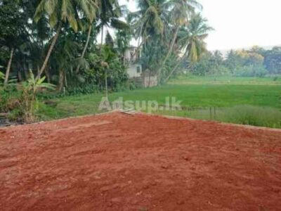 Land for Sale in Matale