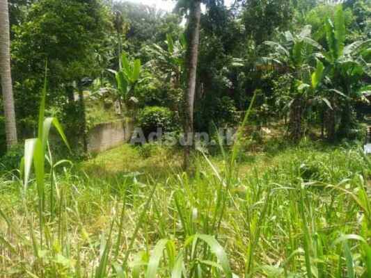 Land for Sale Kandy