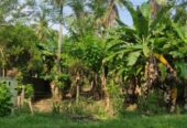 10 Perches Land for Sale in Kanduboda Delgoda