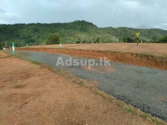 Land Plots for Sale Bulathsinhala