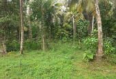 Land for sale near Mawathagama