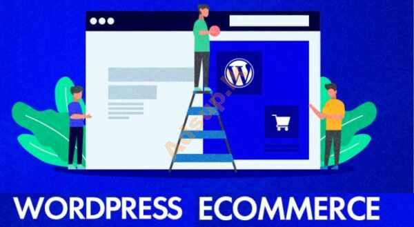 Fast Track WordPress with E-Commerce