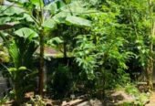 Land with Houses for sale gampaha