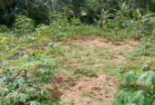 Residential Land for Sale in Weliweriya