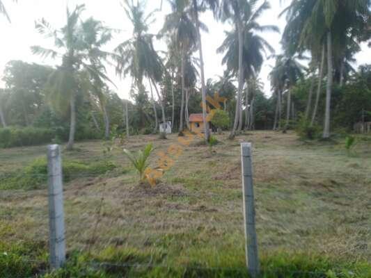 Land for sale in Marawilla