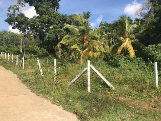 1 Acre Land and House for sale at Beliatta