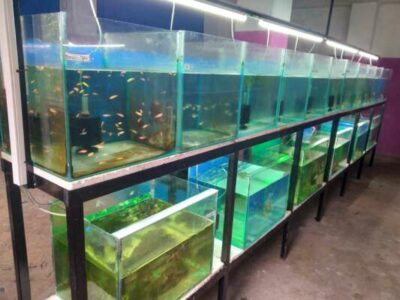 Aquarium Equipment for Sale