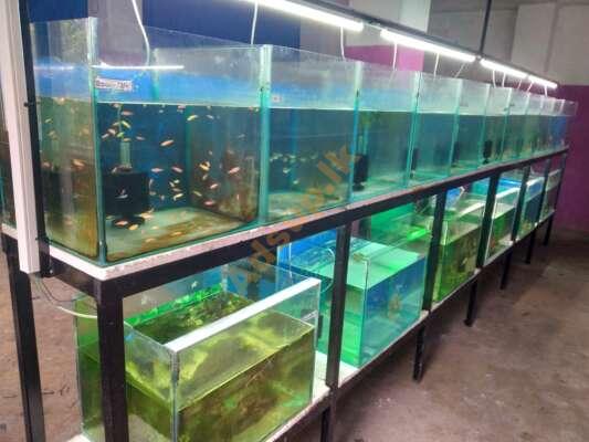 Aquarium Equipment for Sale