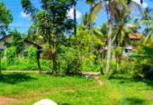 Land for Sale in Negombo Kadirana