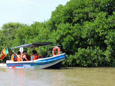 Muthurajawela BirdWatching Boat Safari
